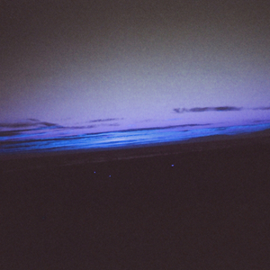 美女脱光光网站
