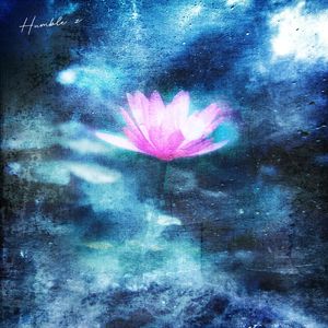 美女脱光光网站
