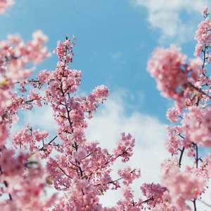 美女脱光光网站
